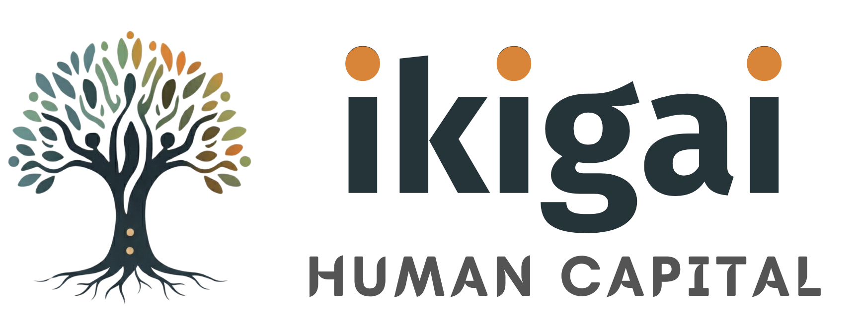 Ikigai Human Capital